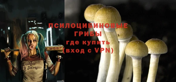 ECSTASY Армянск