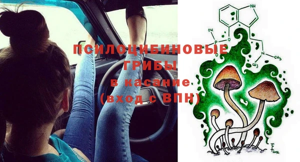 крисы Аркадак