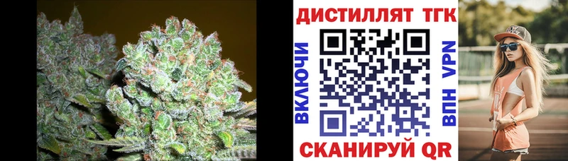 дарнет шоп  Бодайбо  сайты даркнета официальный сайт  ТГК THC oil 
