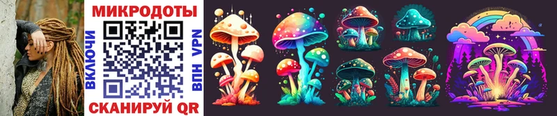 купить наркоту Бодайбо Галлюциногенные грибы Magic Shrooms