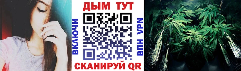 Конопля VHQ  Бодайбо 